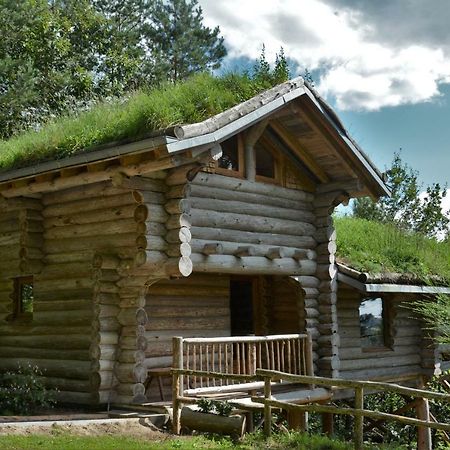 La Cabane De Hans Saint-Martial-de-Gimel Екстериор снимка
