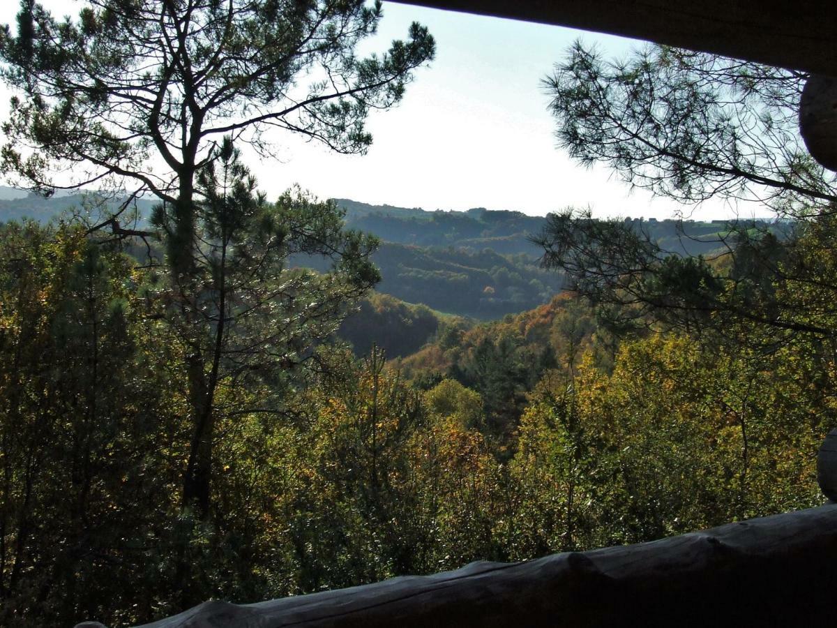 La Cabane De Hans Saint-Martial-de-Gimel Екстериор снимка